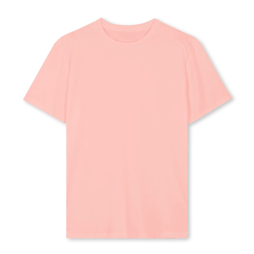 CHERR_P Pink Clay Regular Tee