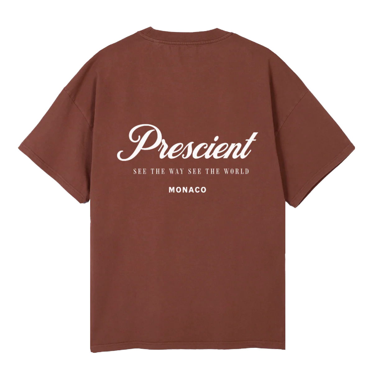 BROWN MONACO Vintage Brown Oversized Tee. - Image 2