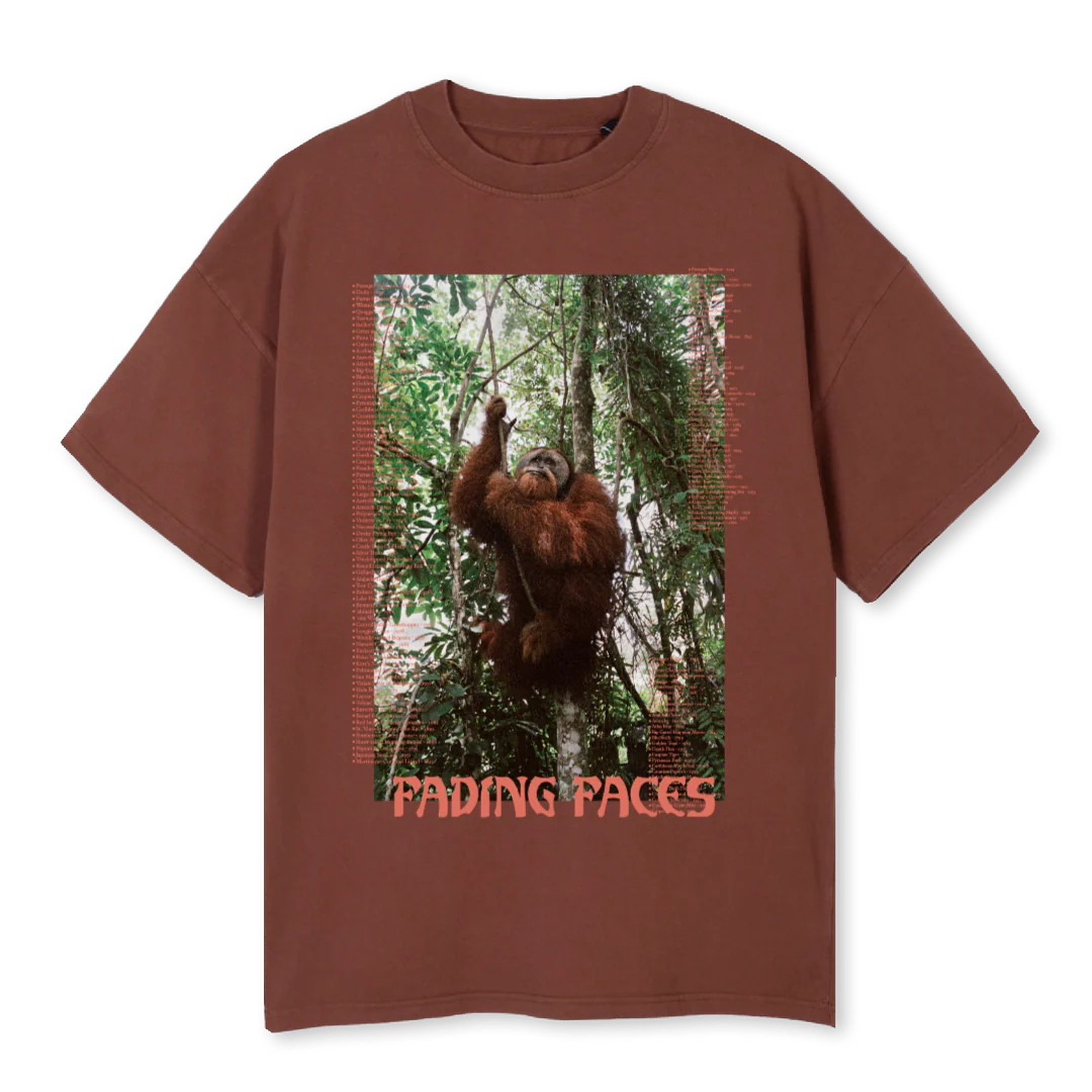 BROWN T Vintage Brown Oversized Tee.