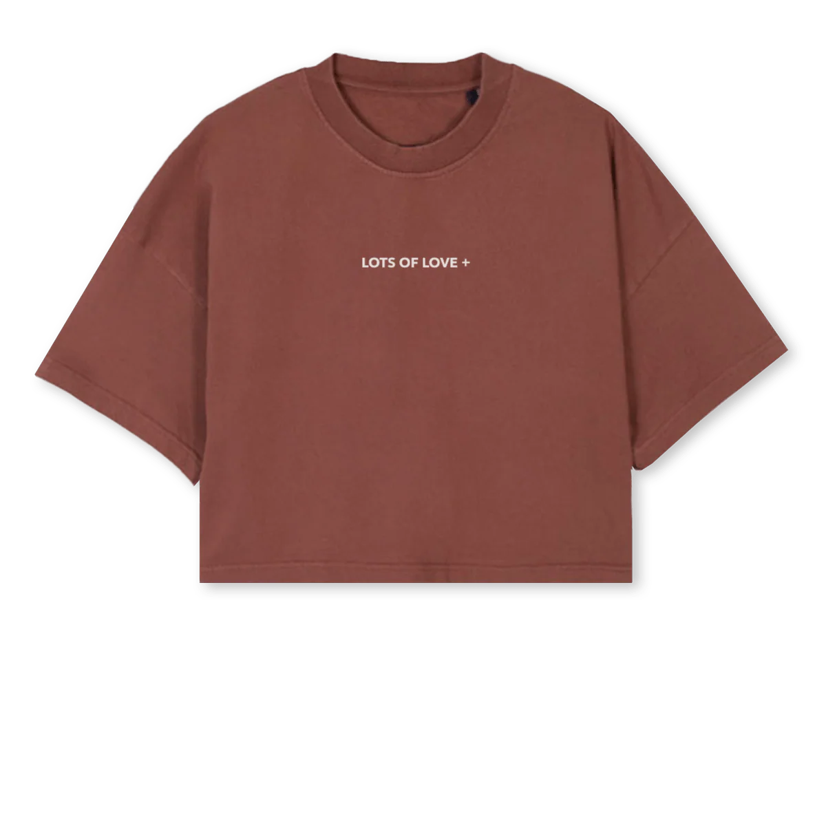 CROPPEDLOL Vintage Brown Cropped Oversized Tee.