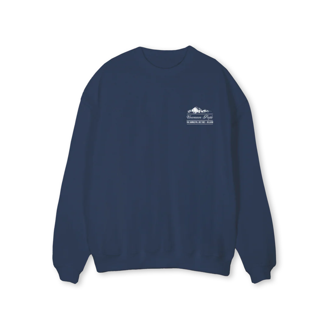 DISTRICT_1 Navy Blue Regular Crewneck Sweater.