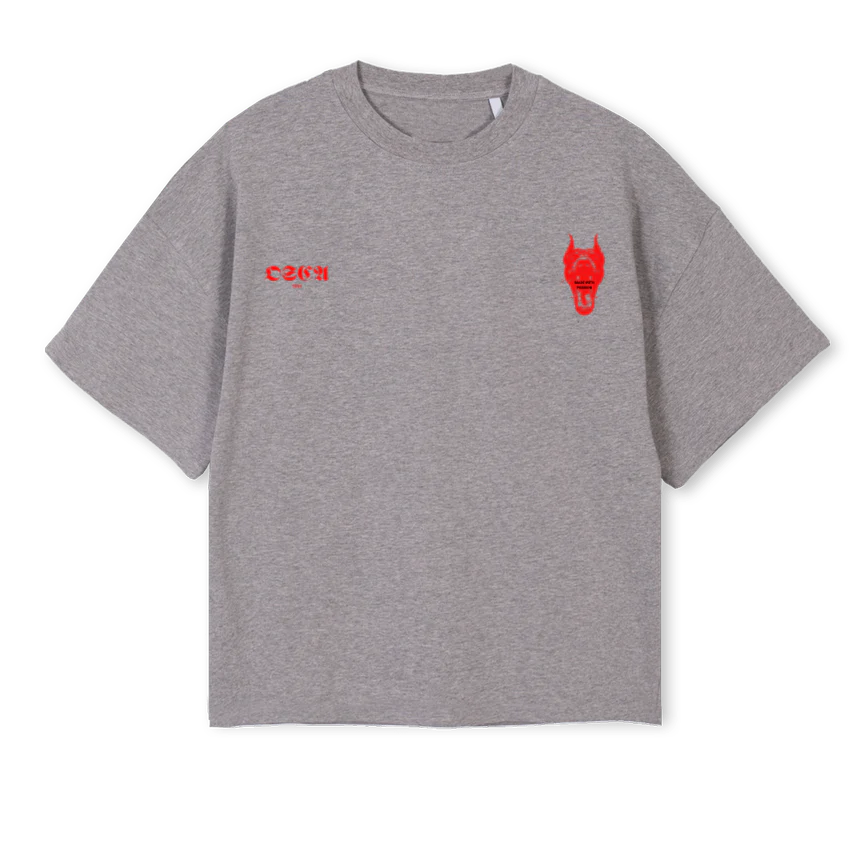 DOGDAYS Grey Marl Oversized Boxy Tee.