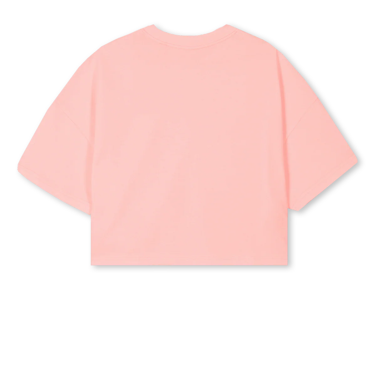 FAYGELEH Pink Clay Cropped Oversized Tee. - Image 2