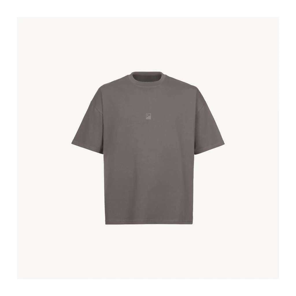 Gray Logo Pigment Grey Oversized Boxy Tee.