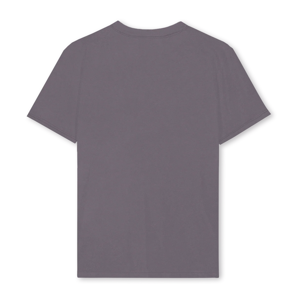 HERITAGESTATUESHIRT Pigment Grey Regular Tee. - Image 2