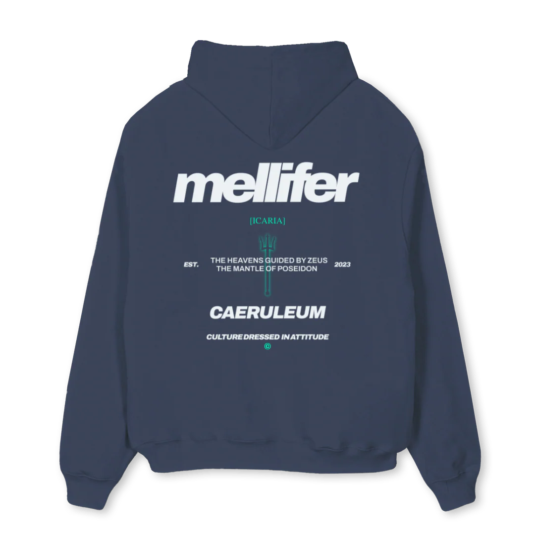 ICARIATRESB Navy Blue Oversized Hoodie. - Image 2