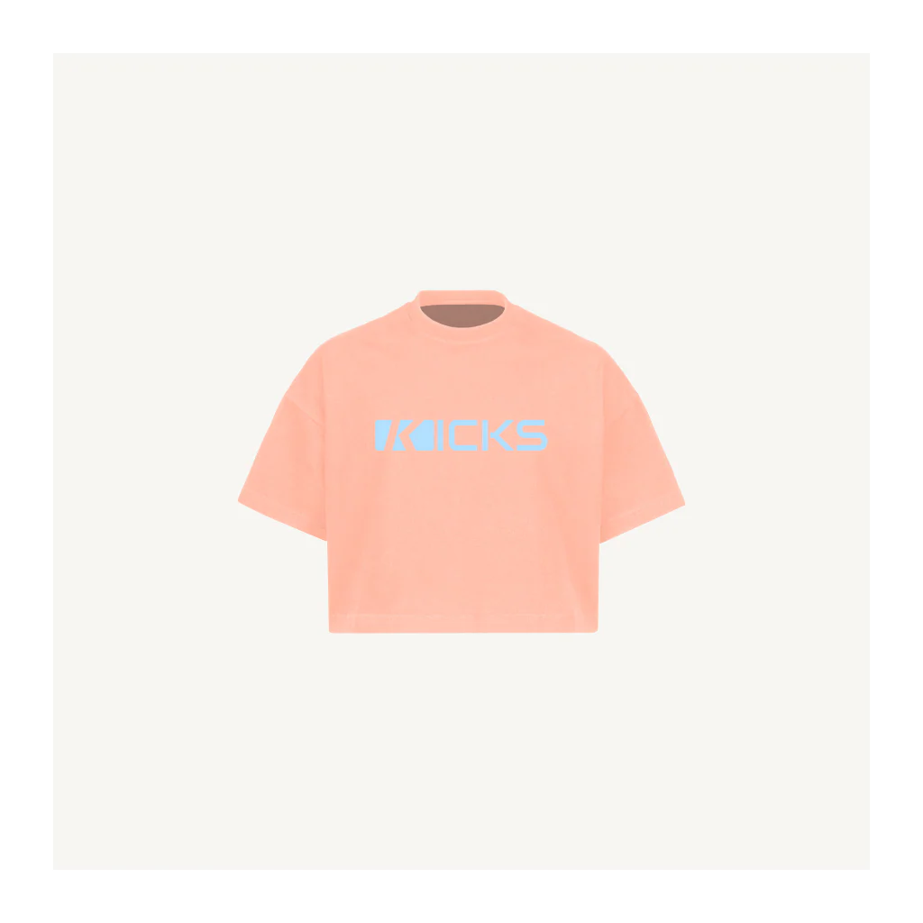 Kickcrop Pink Clay Cropped Oversized Tee.
