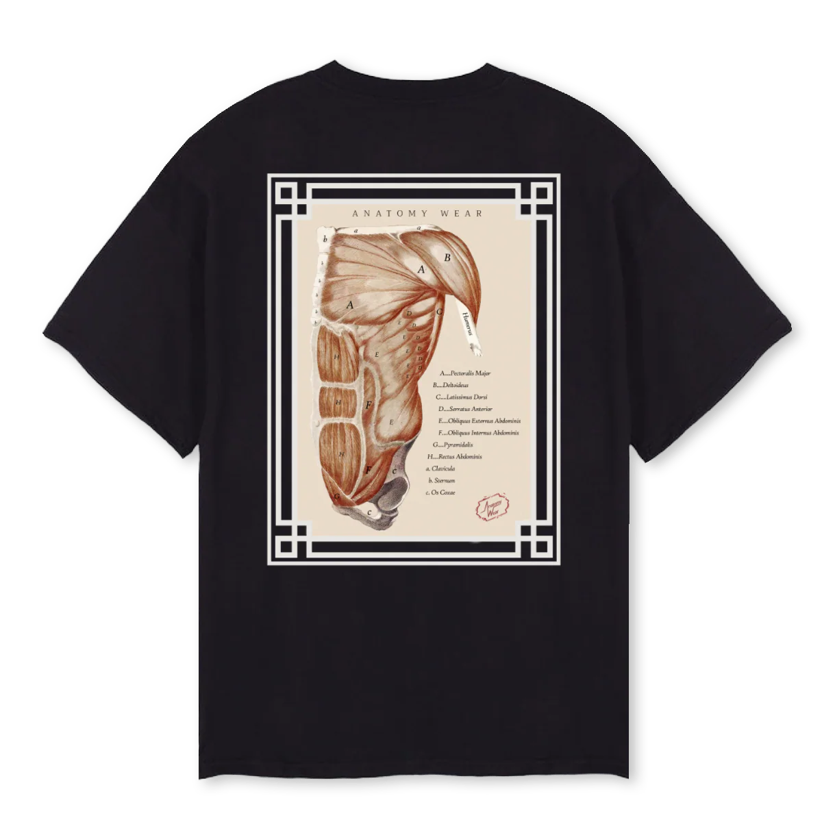 PECTORALIS MAJOR Black Oversized Tee. - Image 2