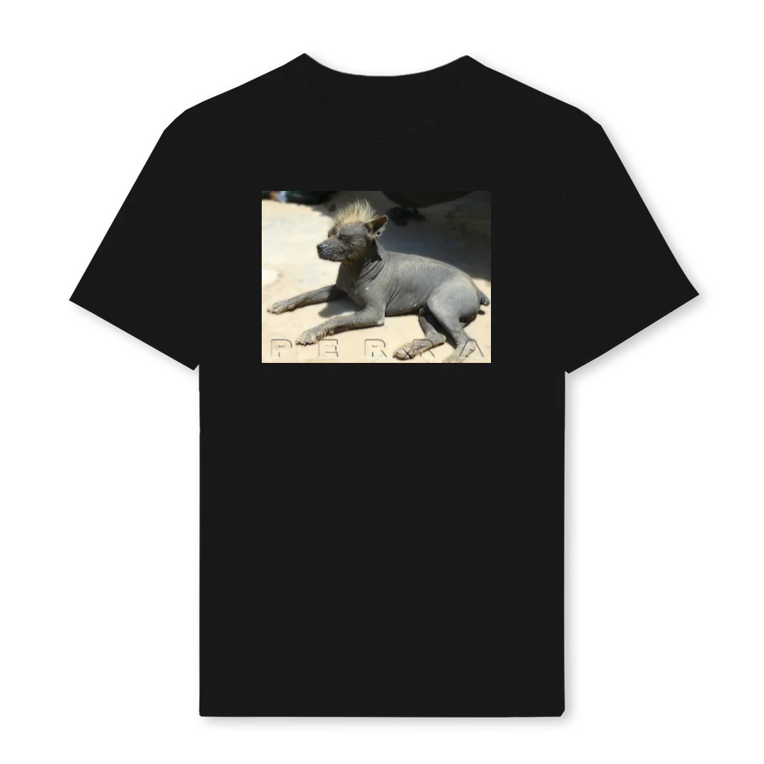 PERRA Black Regular Tee.
