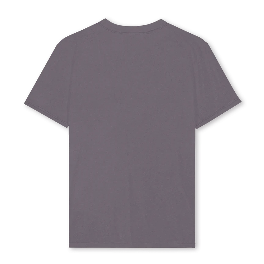 PIGMENTGREYFORDRGLR Pigment Grey Regular Tee. - Image 2