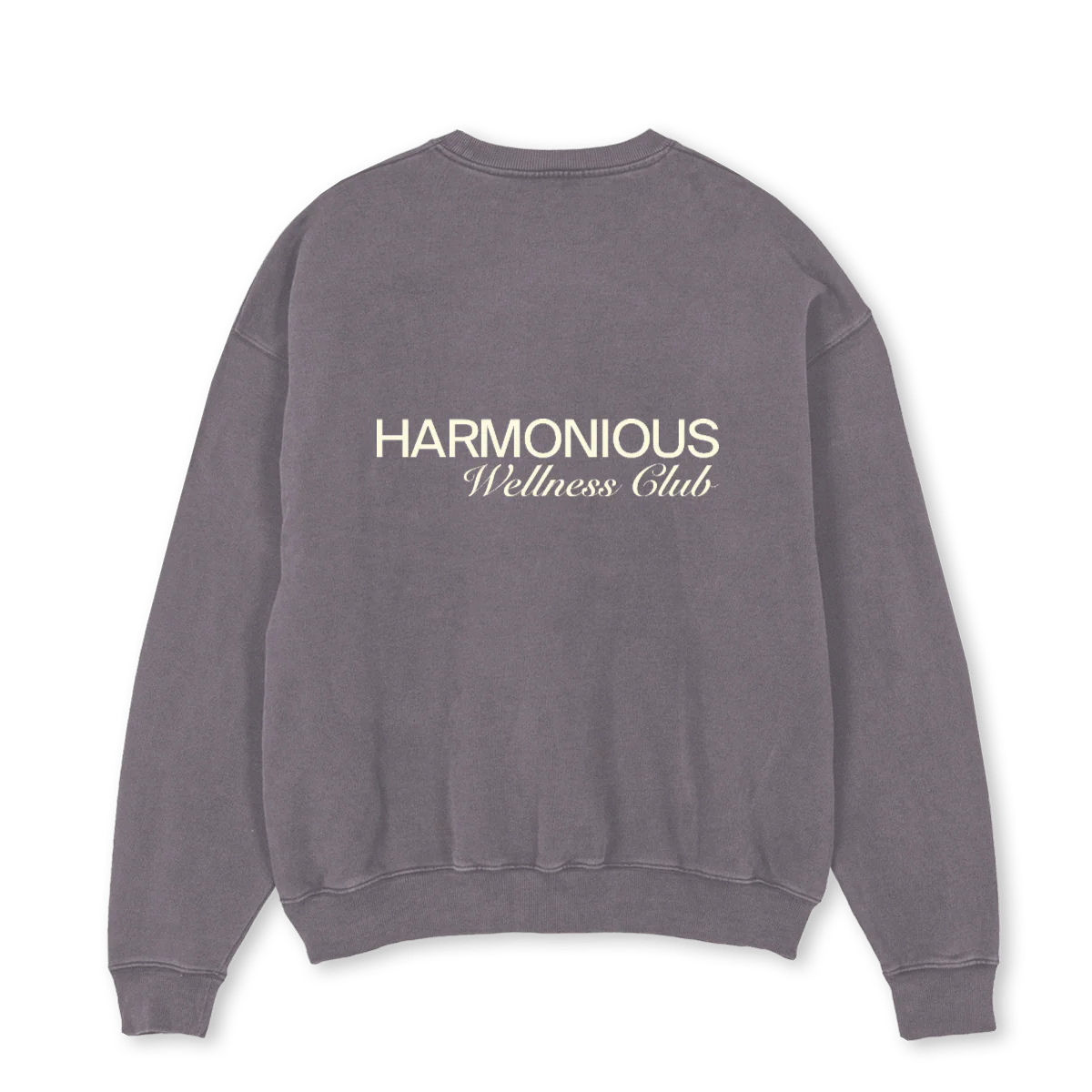 PIGMEWELLNESSSWEATER Pigment Grey Oversized Crewneck Sweater. - Image 2