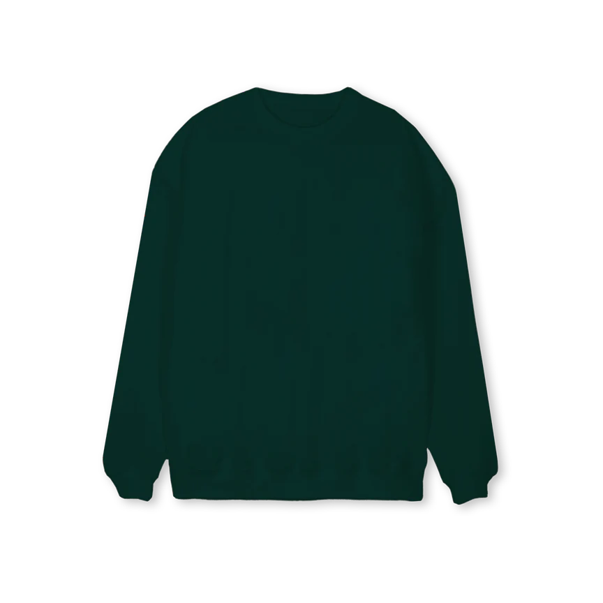 ROBERTO Wild Green Regular Crewneck Sweater.