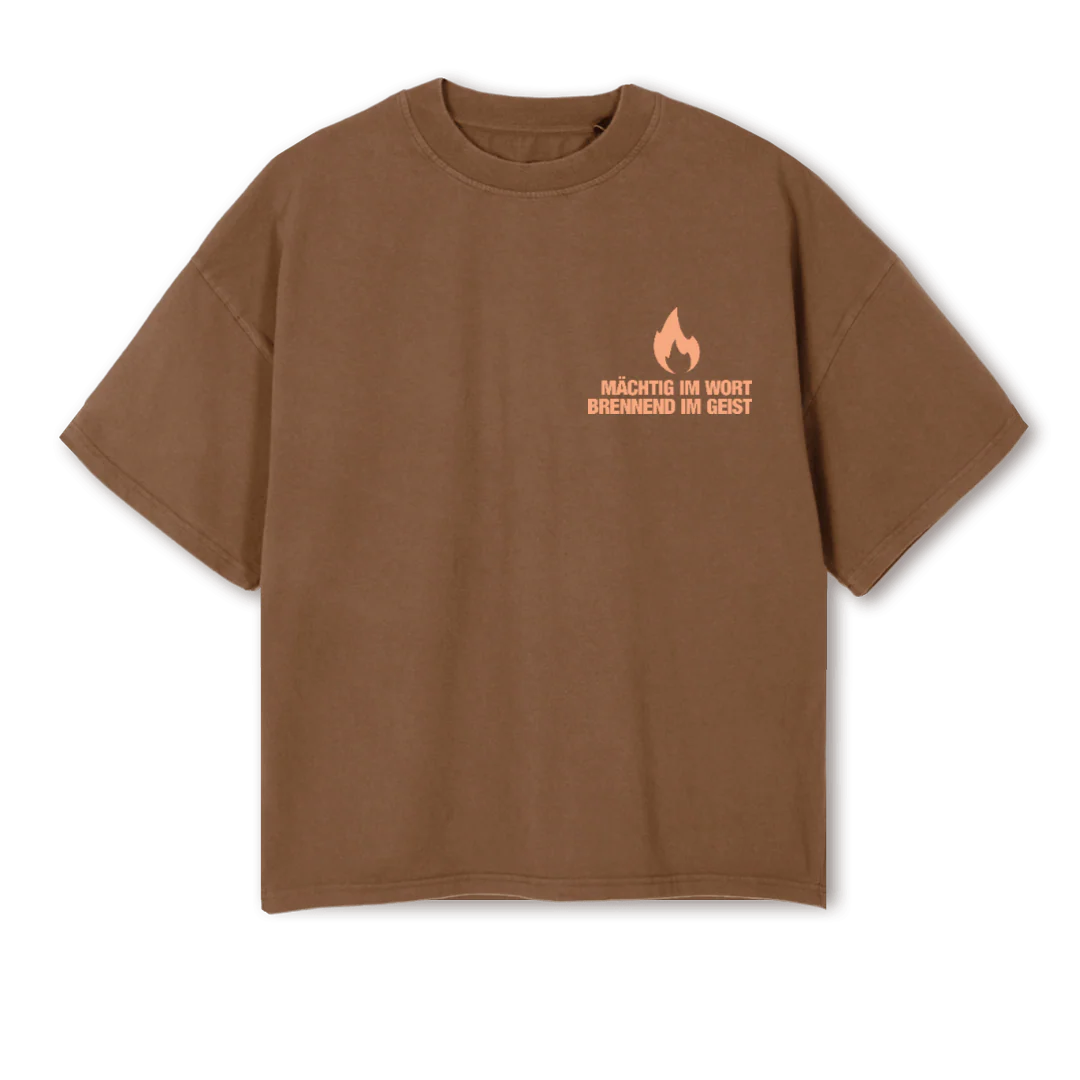 SJSECHS Vintage Tan Oversized Boxy Tee.