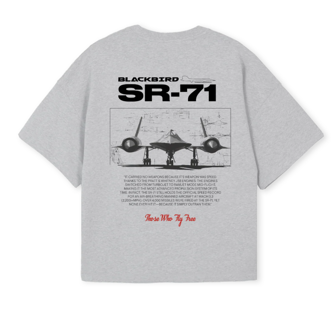 SR SEVENTY Light Grey Marl Oversized Boxy Tee. - Image 2
