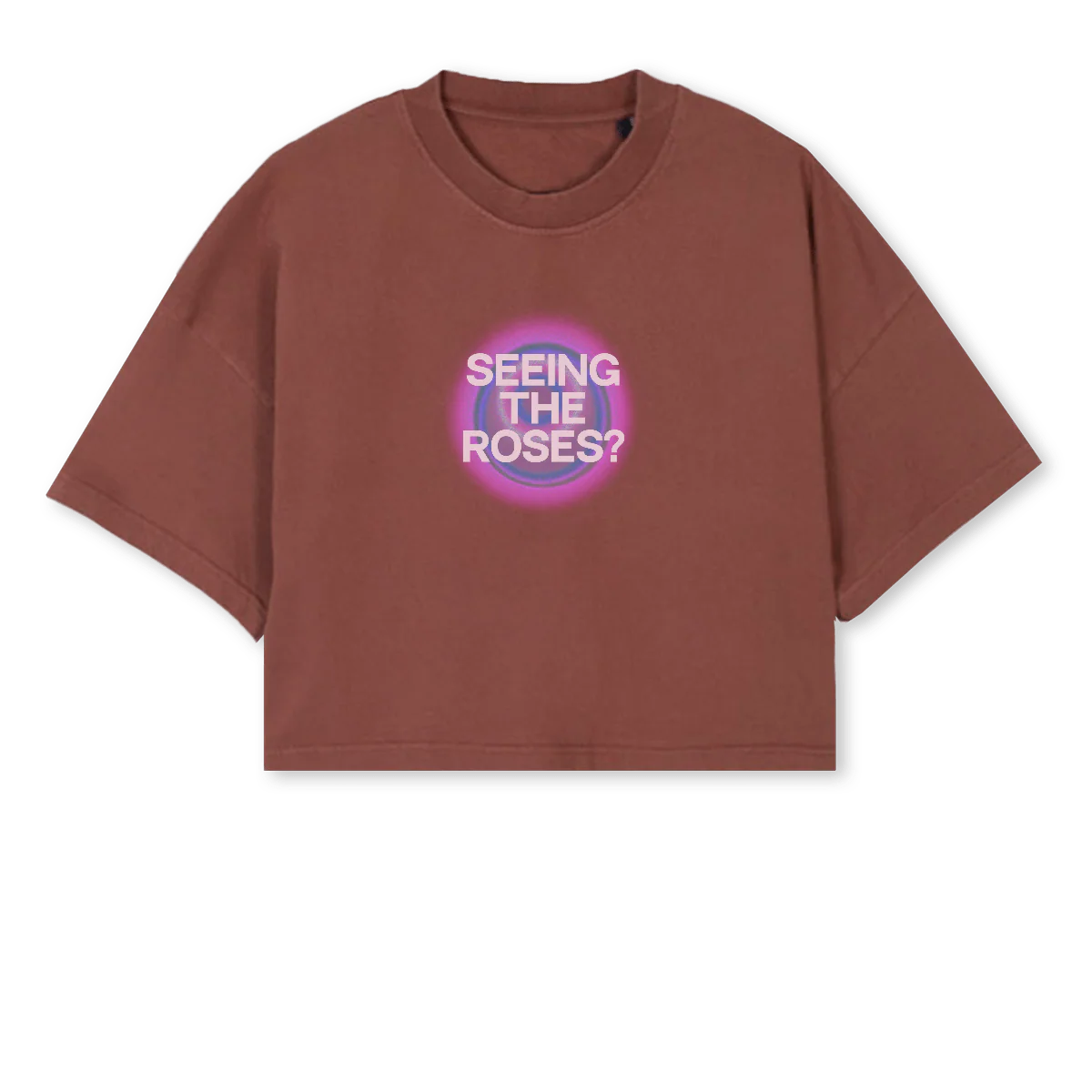 SYD CT Vintage Brown Cropped Oversized Tee.