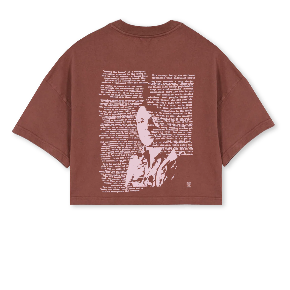 SYD CT Vintage Brown Cropped Oversized Tee. - Image 2