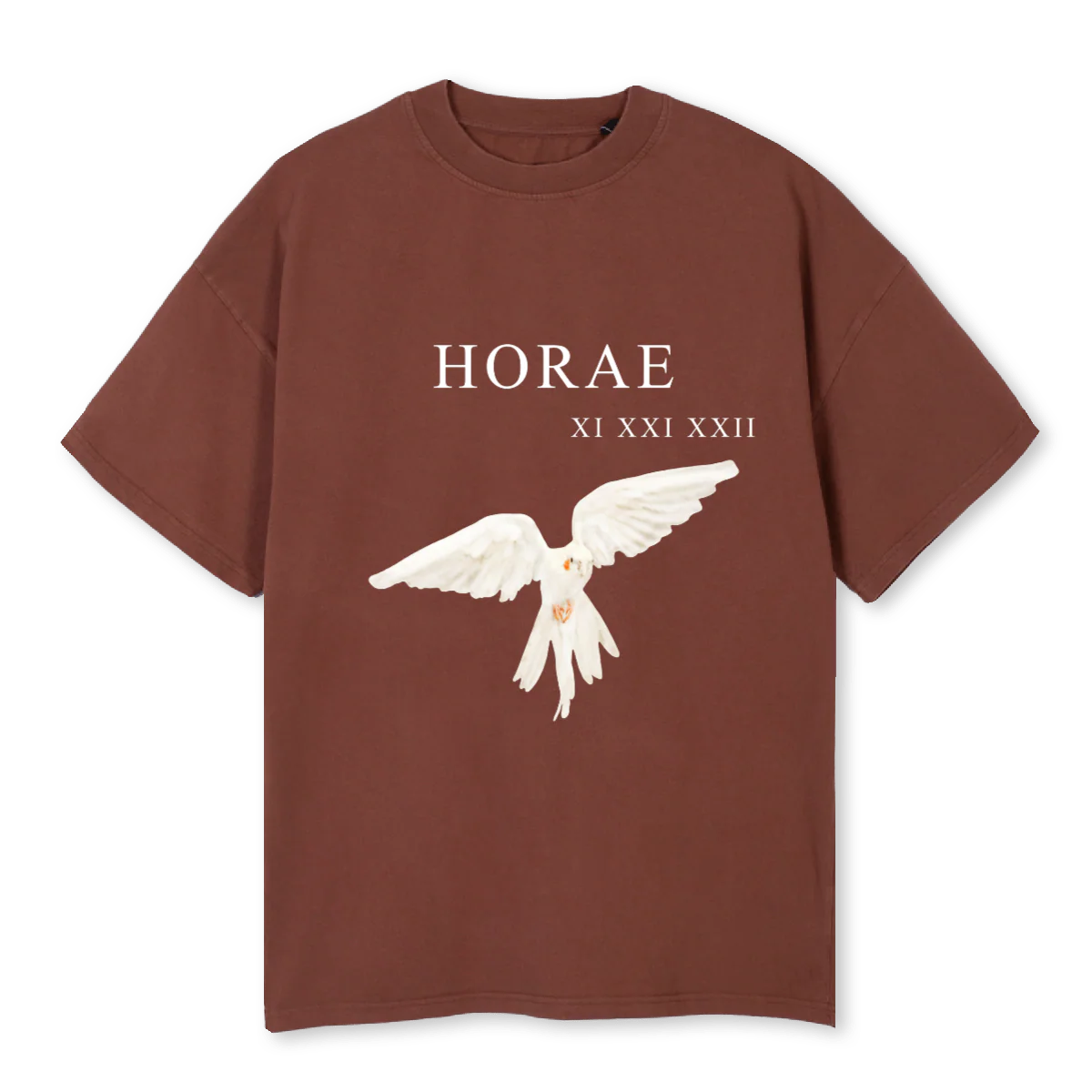 TAKE FLIGHT Vintage Brown Oversized Tee.