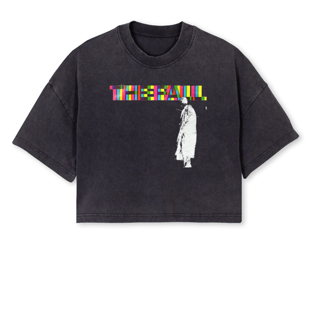 THEFALL Vintage Black Cropped Oversized Tee.