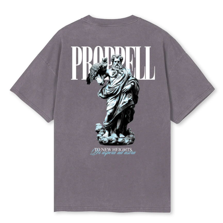 ZTNH_PG Pigment Grey Oversized Tee - Image 2