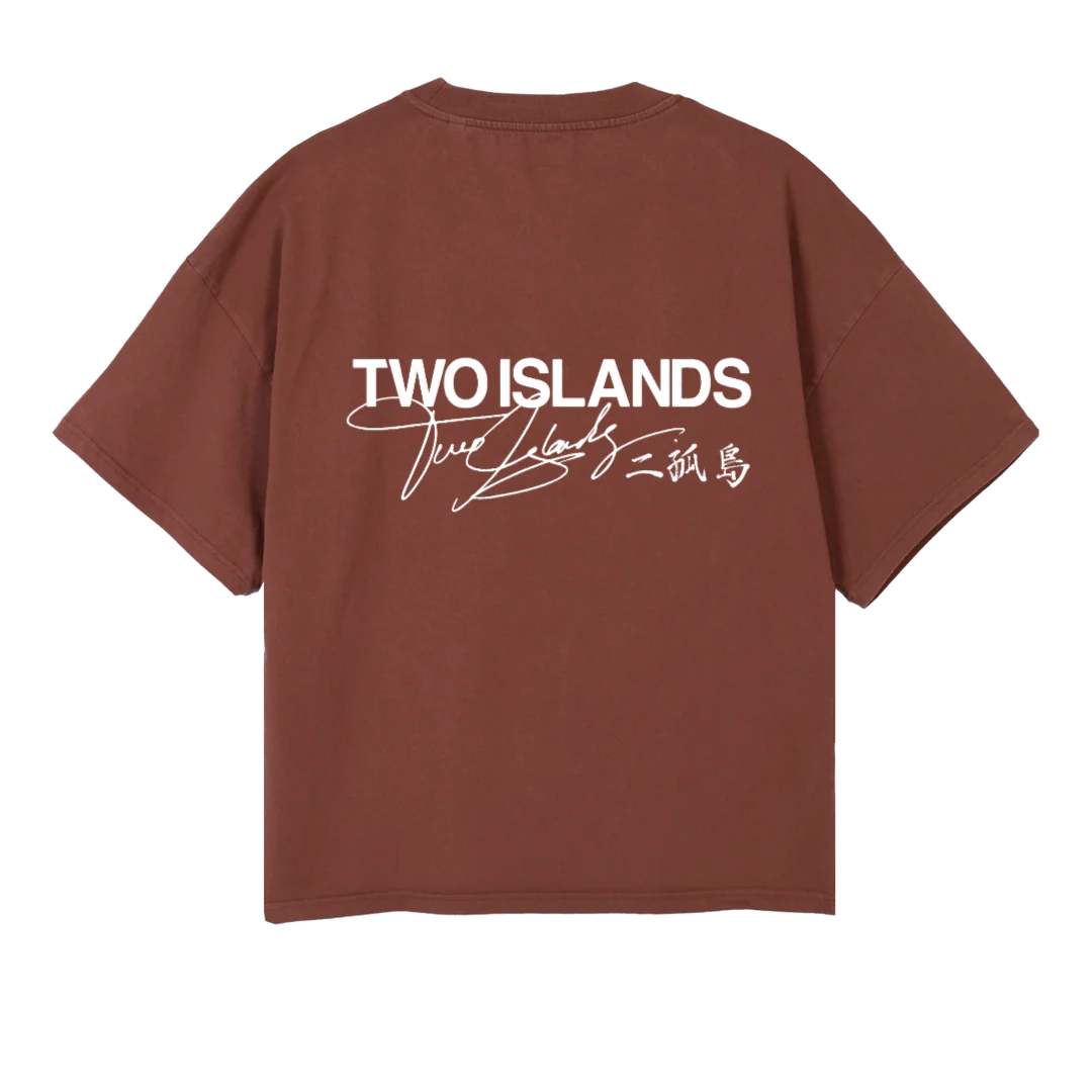 TIBLACKSIGLOGO Vintage Brown Oversized Boxy Tee. - Image 2