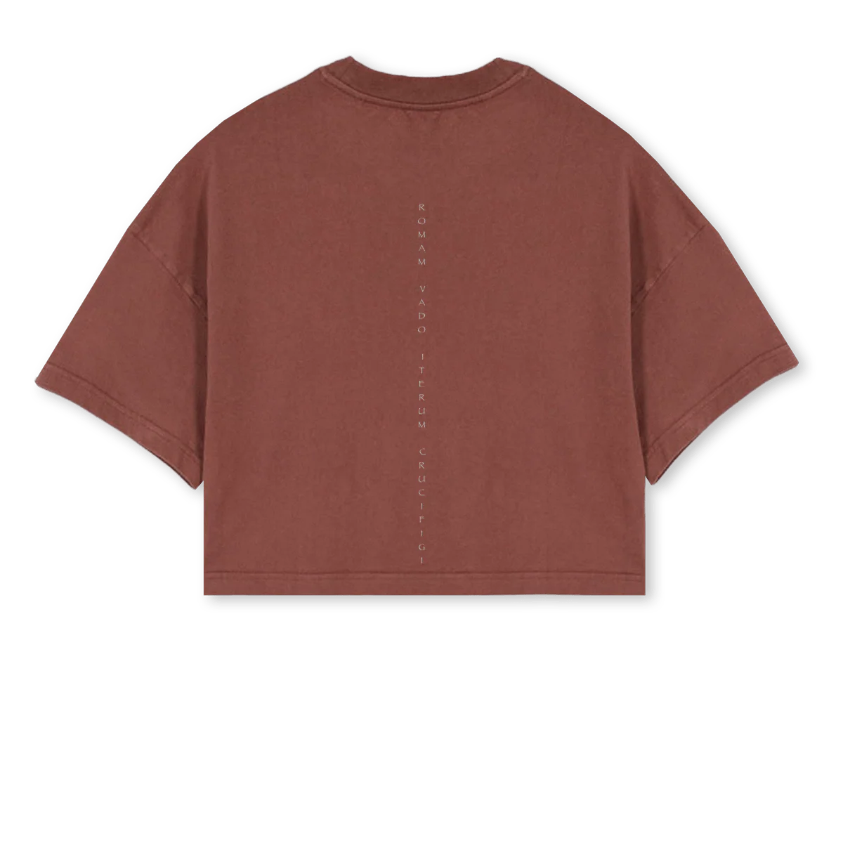VADIS VINTANGE WOME Vintage Brown Cropped Oversized Tee. - Image 2