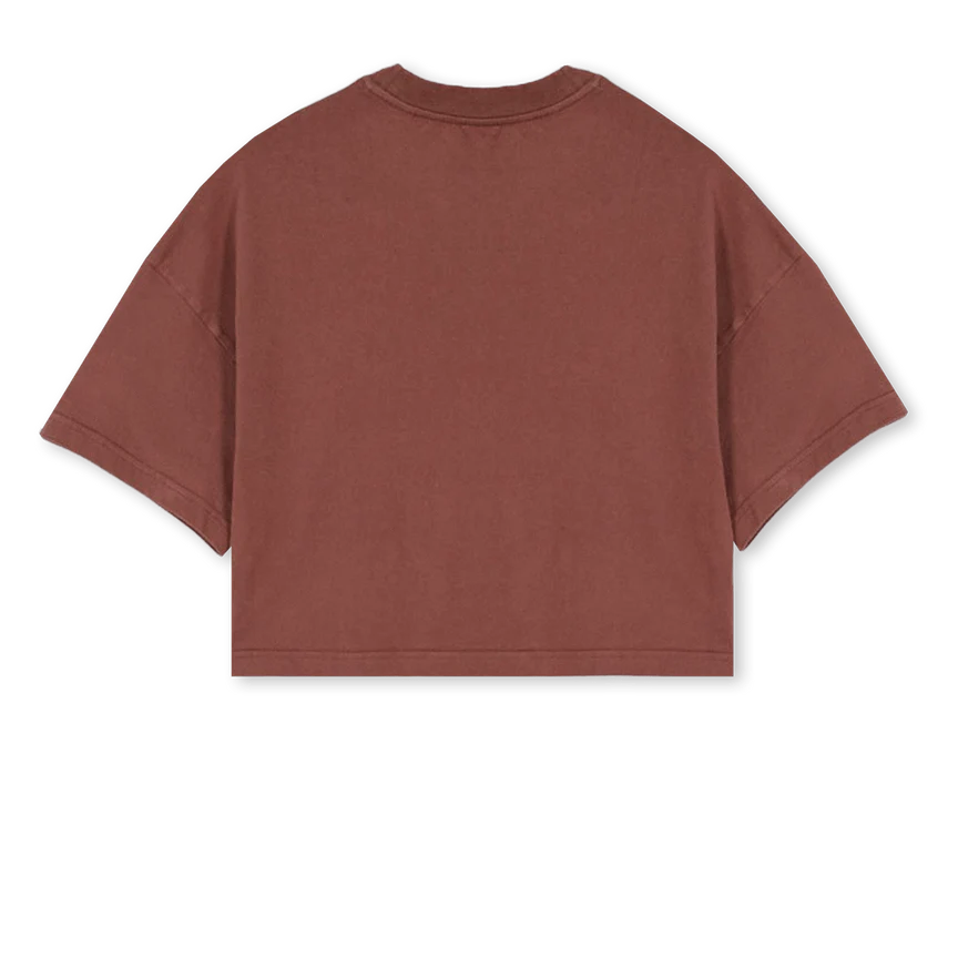 ADWBOXLOGOBG Vintage Brown Cropped Oversized Tee - Image 2