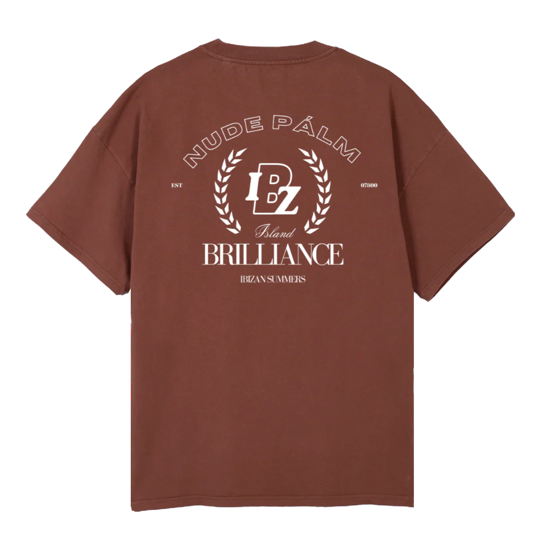 VINTAGEBROWNIBZ Vintage Brown Oversized Tee. - Image 2