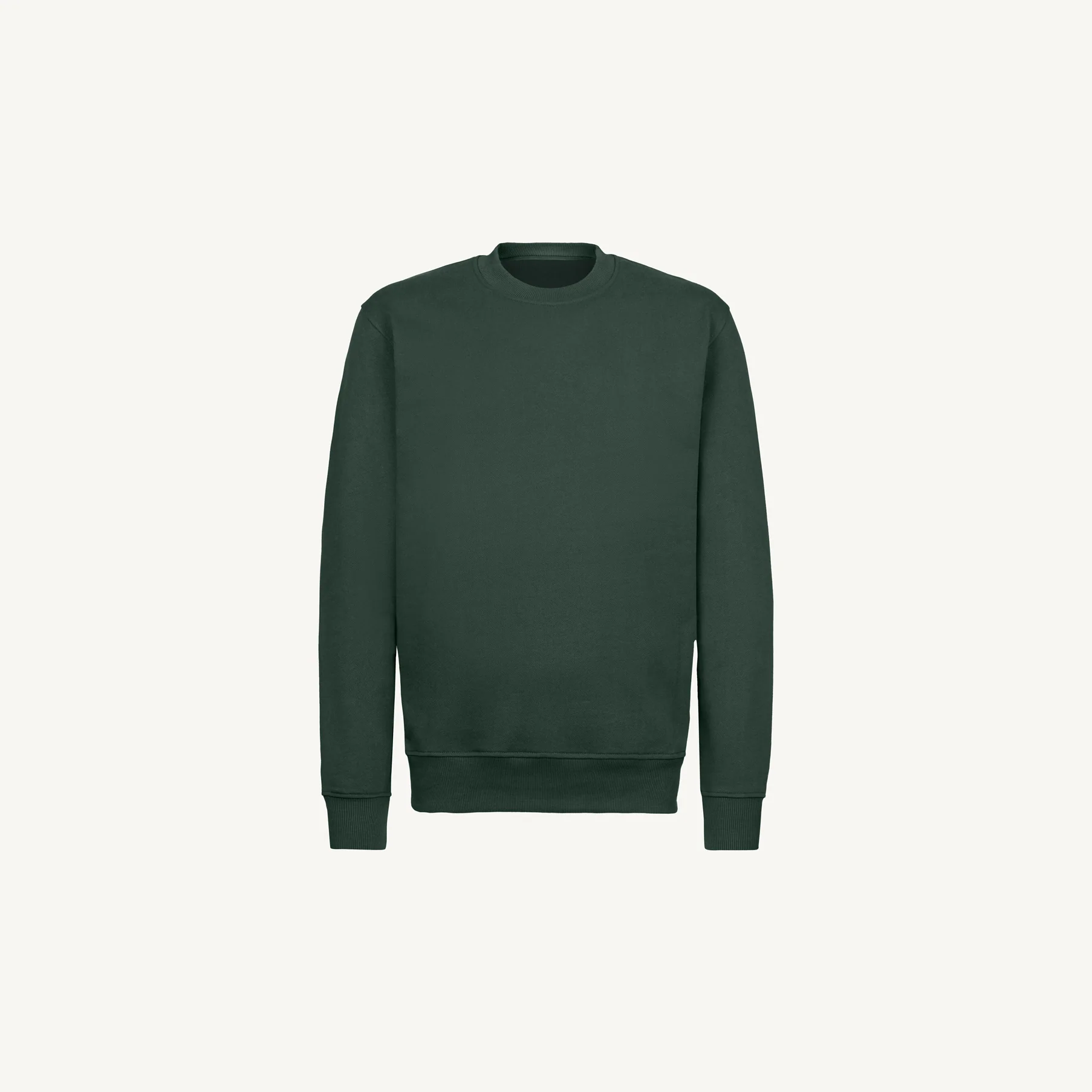 Wild Green Regular Crewneck Sweater.