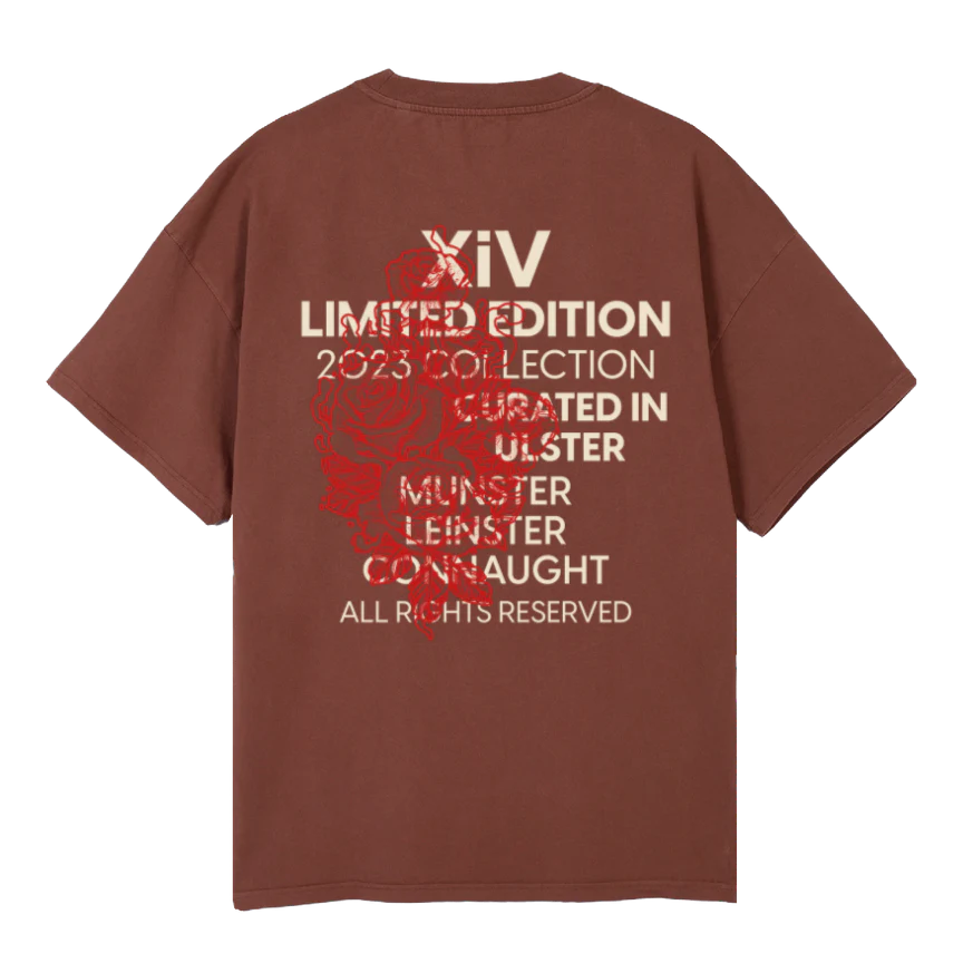 XIV LTD ED BROWN Vintage Brown Oversized Tee. - Image 2